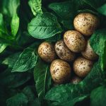 Les Pommes de Terre Grenaille : Bienfaits Nutritionnels